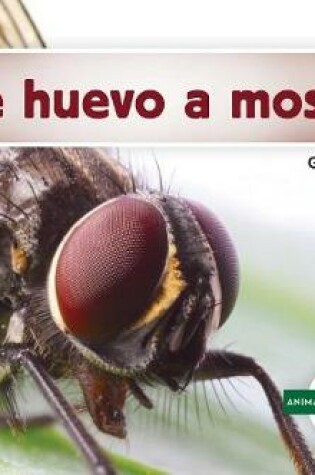 Cover of de Huevo a Mosca (Becoming a Fly)