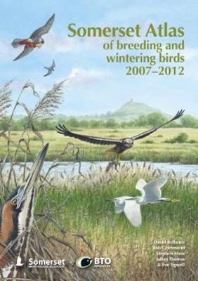 Book cover for Somerset Atlas of Breeding and Wintering Birds 2007-2012