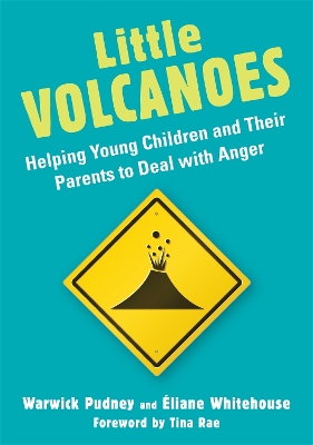 Book cover for Little Volcanoes