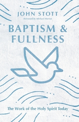 Book cover for Baptism and Fullness