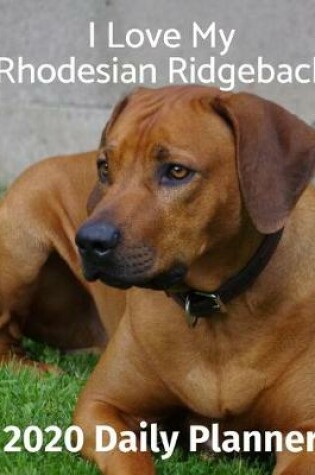 Cover of I Love My Rhodesian Ridgeback