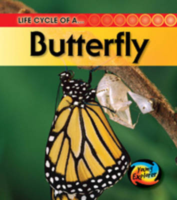 Cover of Life Cycle of a Butterfly