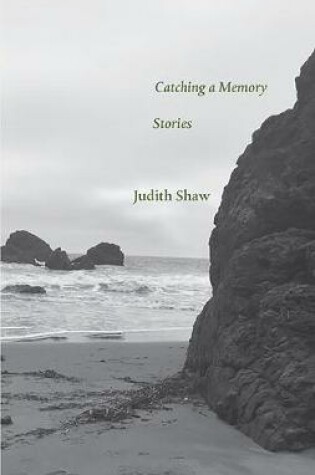 Cover of Catching a Memory