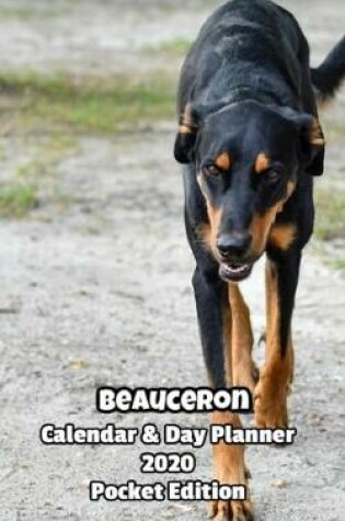 Cover of Beauceron Calendar & Day Planner 2020 Pocket Edition