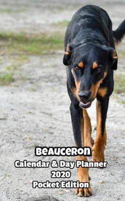 Book cover for Beauceron Calendar & Day Planner 2020 Pocket Edition