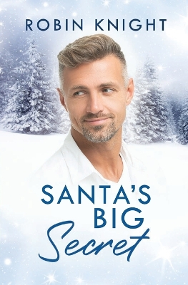 Book cover for Santa's Big Secret