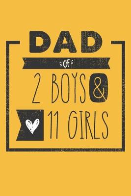 Book cover for DAD of 2 BOYS & 11 GIRLS