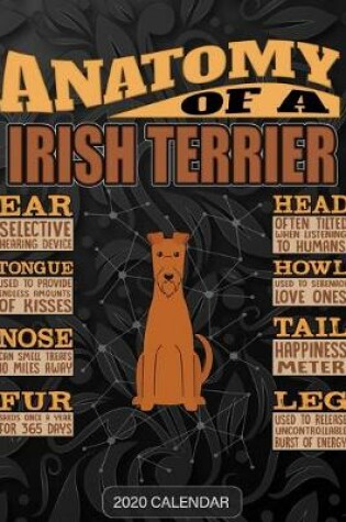 Cover of Anatomy Of A Irish Terrier