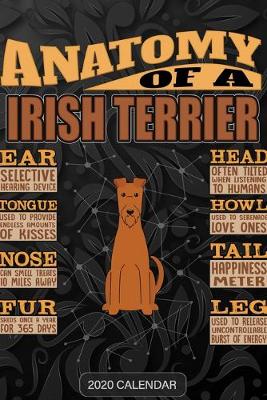 Book cover for Anatomy Of A Irish Terrier