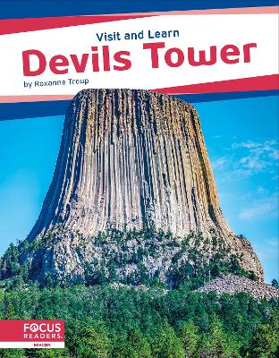 Book cover for Devils Tower