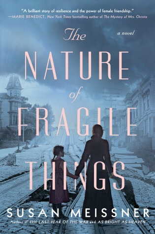 Cover of The Nature Of Fragile Things