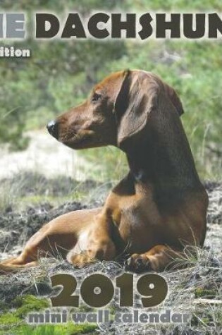 Cover of The Dachshund 2019 Mini Wall Calendar (UK Edition)