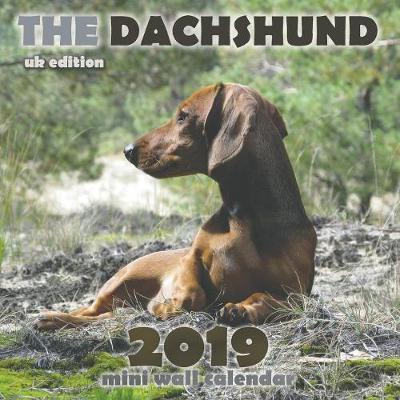 Book cover for The Dachshund 2019 Mini Wall Calendar (UK Edition)