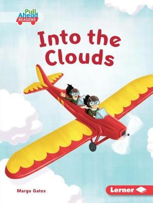 Book cover for Into the Clouds