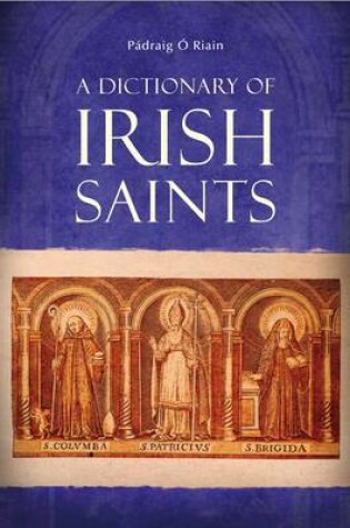 Cover of A Dictionary of Irish Saints