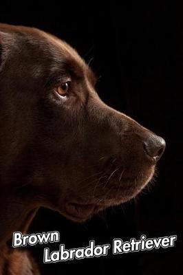 Book cover for Brown Labrador Retriever