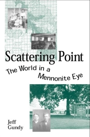 Cover of Scattering Point