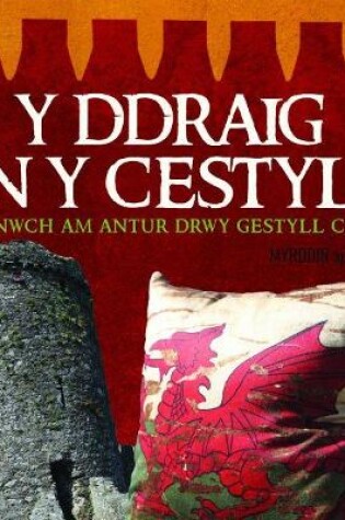 Cover of Ddraig yn y Cestyll, Y