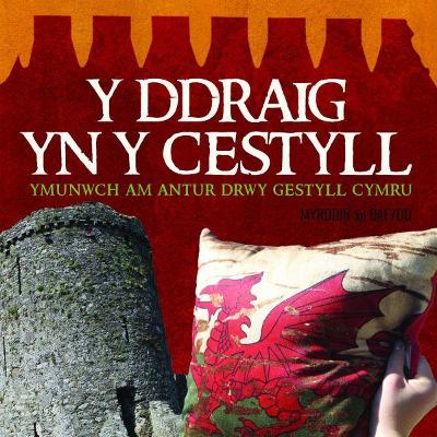 Book cover for Ddraig yn y Cestyll, Y