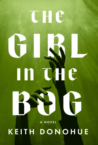 Book cover for The Girl in the Bog