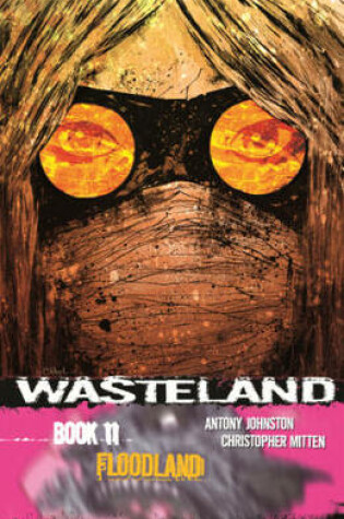 Cover of Wasteland Volume 11: Floodland