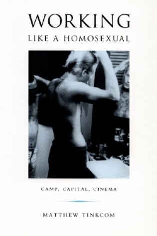 Cover of Working Like a Homosexual