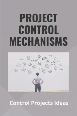 Cover of Project Control Mechanisms