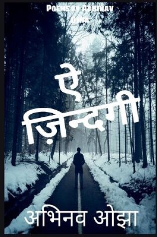 Cover of Aye Zindagi / &#2320; &#2332;&#2367;&#2306;&#2342;&#2327;&#2368;