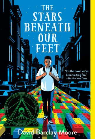 Book cover for The Stars Beneath Our Feet