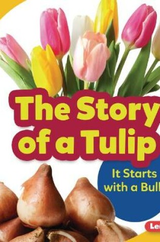 Cover of The Story of a Tulip