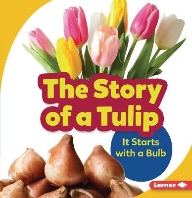 Book cover for The Story of a Tulip