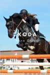 Book cover for Koda