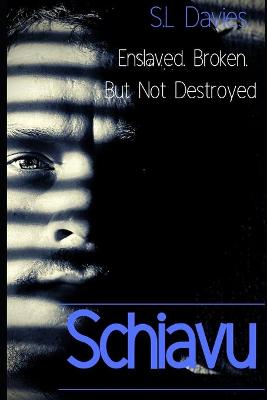 Book cover for Schiavu