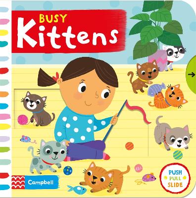 Book cover for Busy Kittens