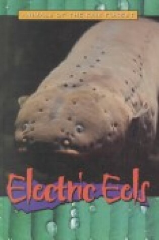 Cover of Electric Eels