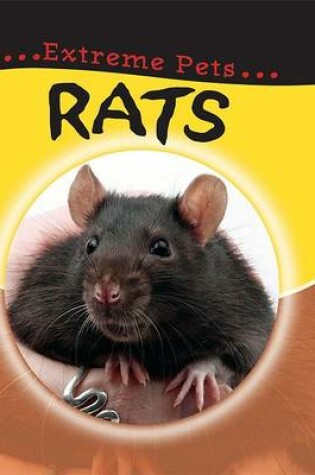 Cover of Rats