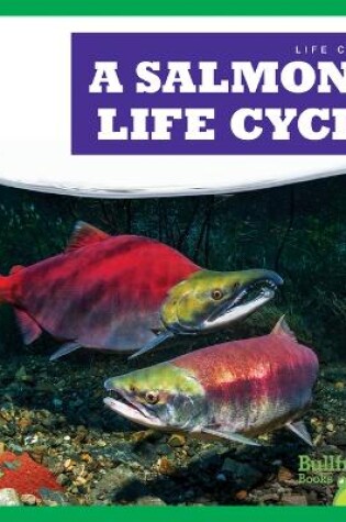 Cover of A Salmon's Life Cycle