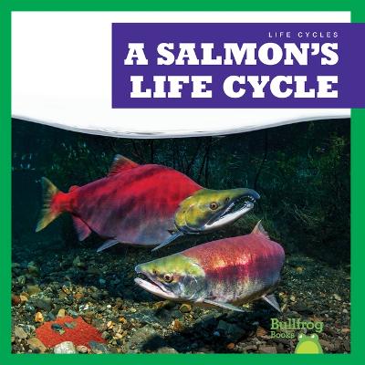 Cover of A Salmon's Life Cycle