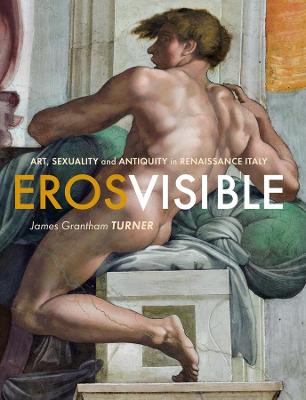 Book cover for Eros Visible