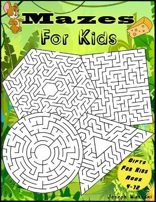 Book cover for Mazes for Kids