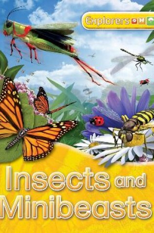 Cover of Insects and Minibeasts