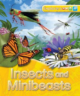 Cover of Explorers: Insects and Minibeasts