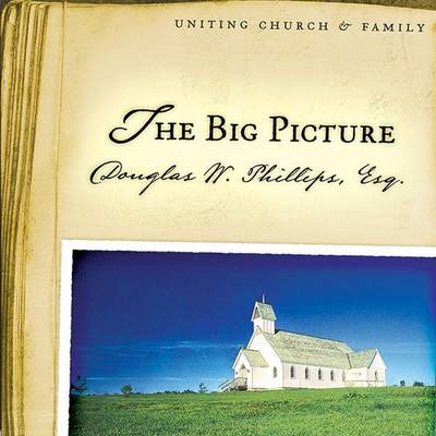 Book cover for The Big Picture