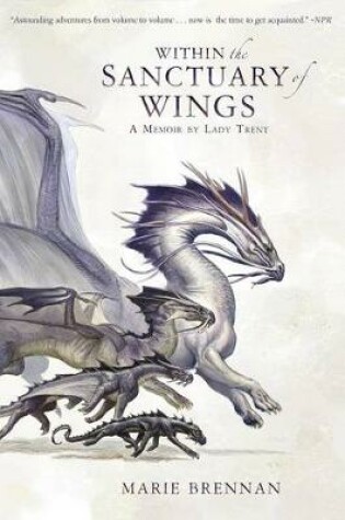 Cover of Within the Sanctuary of Wings