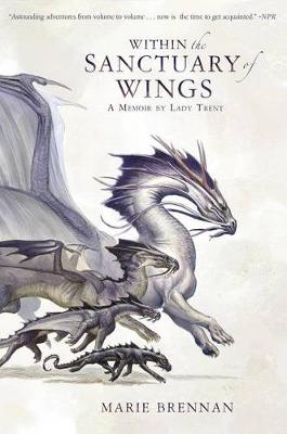 Book cover for Within the Sanctuary of Wings