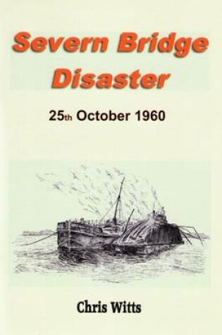 Cover of Severn Bridge Disaster