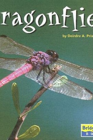 Cover of Dragonflies