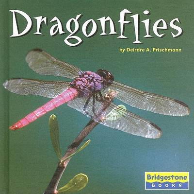 Book cover for Dragonflies