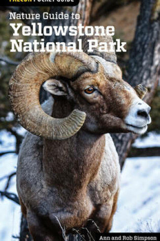 Cover of Nature Guide to Yellowstone National Park