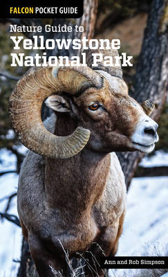 Book cover for Nature Guide to Yellowstone National Park